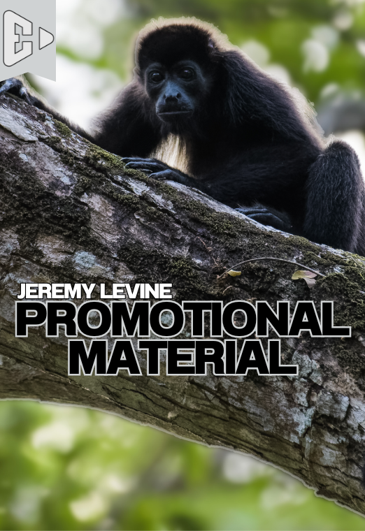 Promotional Material | Jeremy Levine